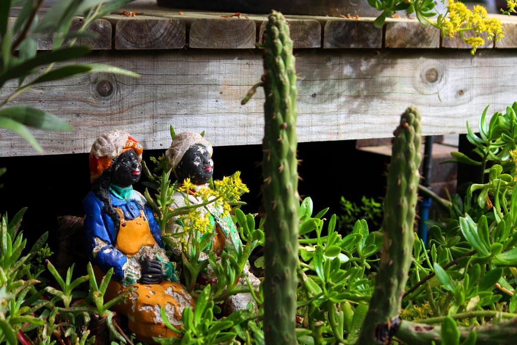 Sirena Insolente Hostel & Suites Pichilemu Luaran gambar